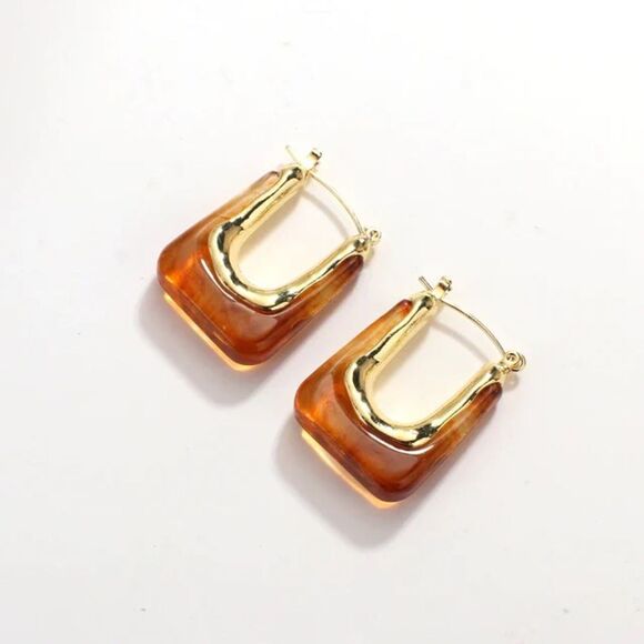 Brown crystal hoop earrings N948 - Picture 1 of 4
